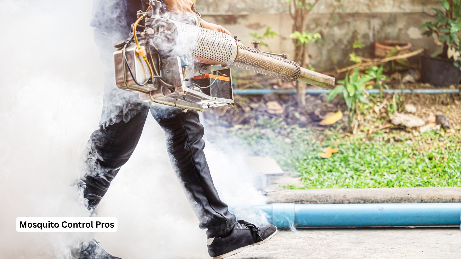 Professional mosquito control process demonstration