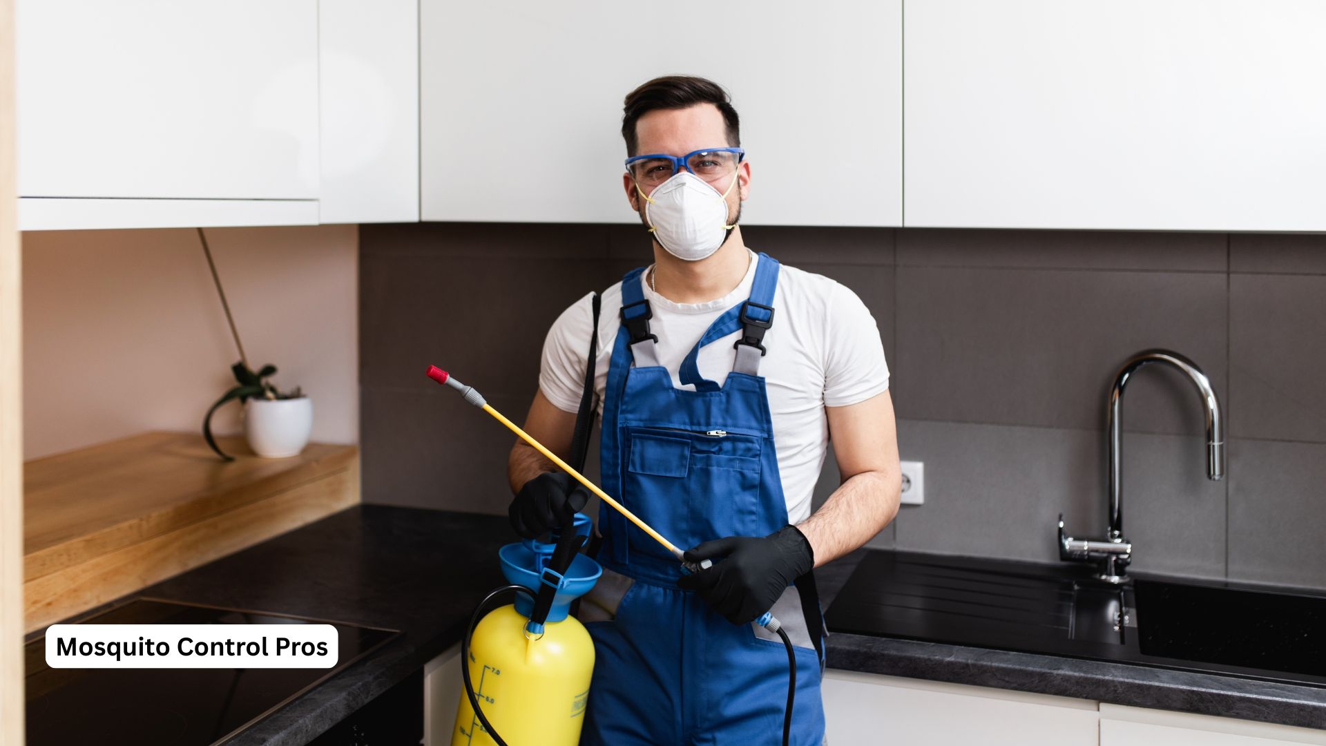 Mosquito fogging treatment for immediate relief