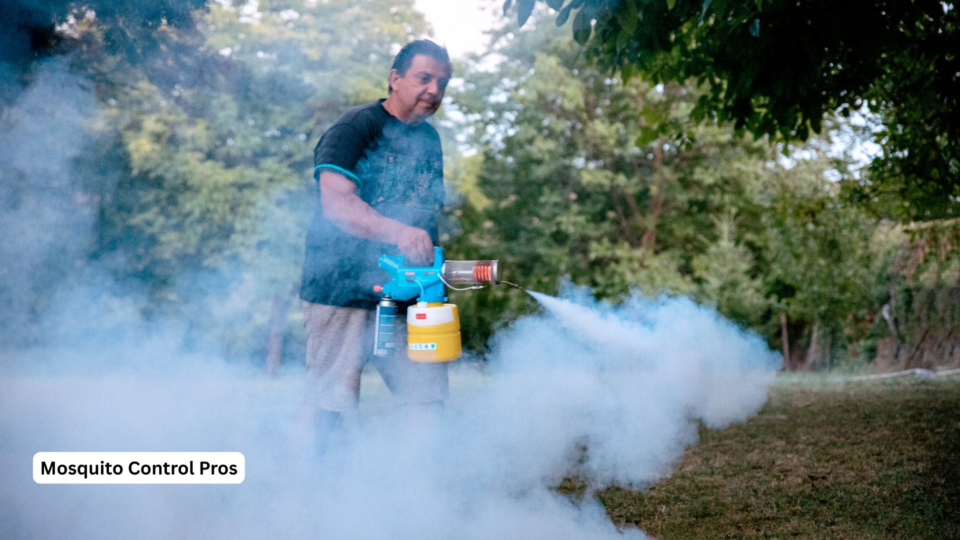 Professional acadia parish mosquito control treatment in Louisiana