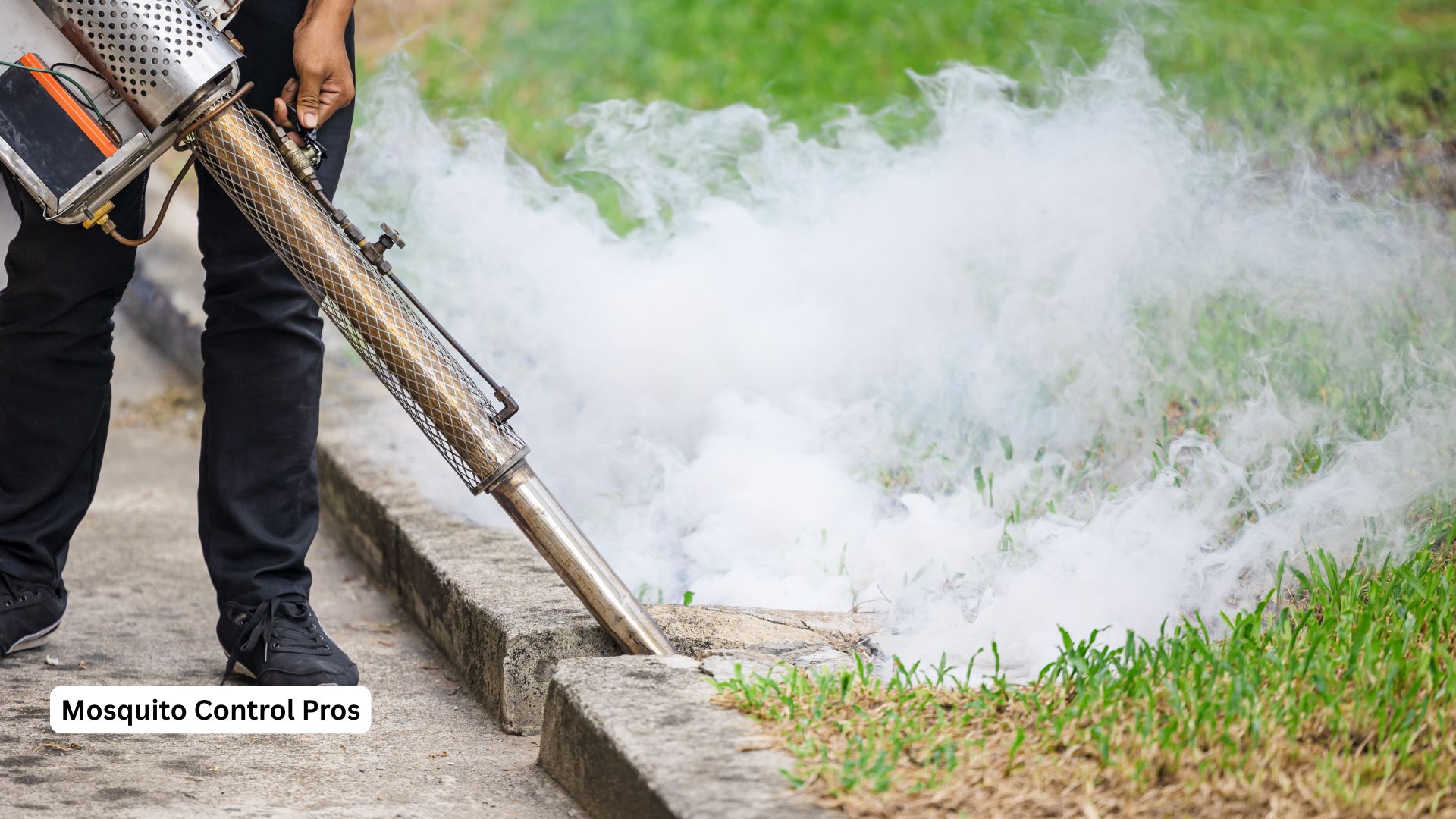 Professional larviciding treatment for mosquito control